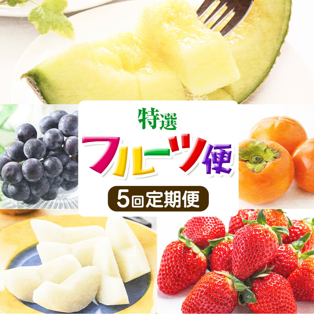 【ふるさと納税】【定期便計5回】厳選フルーツ便(メロン・ぶどう・梨・太秋柿・いちご) 【メロンドーム】 菊池市産 熊本県産 九州産 果物 肥後グリーンメロン アールスメロン ぶどう 梨 柿 いちご(ゆりかーご) フルーツ 旬 送料無料 《お申込み月の翌月から出荷開始》