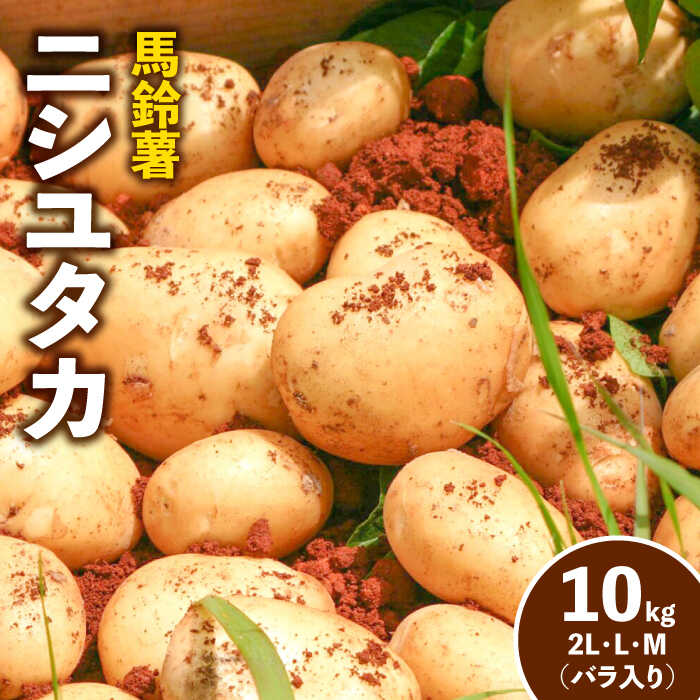 【ふるさと納税】【2024年4月〜発送】 馬鈴薯 ニシユタカ 10kg / ばれいしょ じゃがいも ジャガイモ 野菜 常温 / 南島原市 / 島原雲仙農業協同組合 南部基幹営農センター [SAB003]