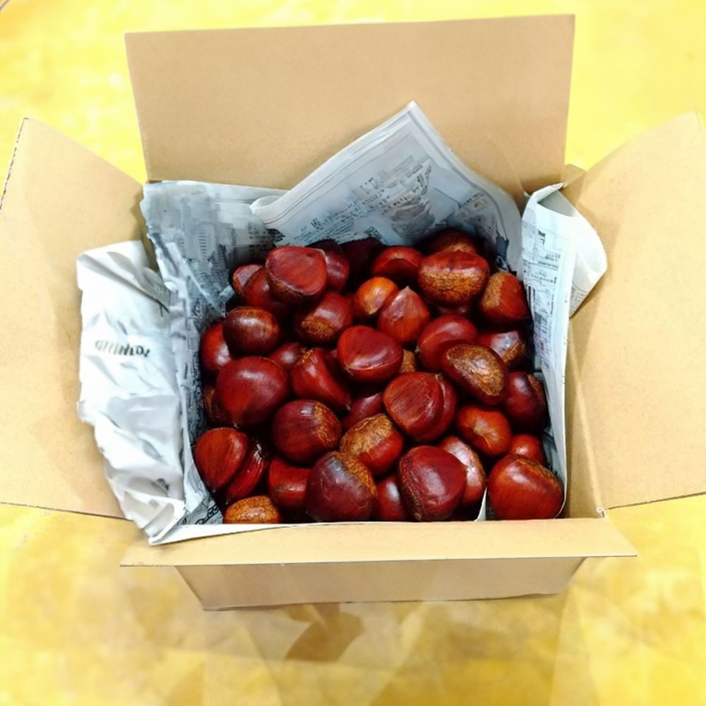 
                  【数量限定】さぬき山都の低温熟成完熟栗（生栗）4Lサイズ　約1kg
                