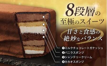 【全2回定期便】 長崎石畳ショコラ ハーフサイズ1個 ／ 合計2個 ケーキ スイーツ ご当地スイーツ グルメ チョコ チョコレート グルメ
