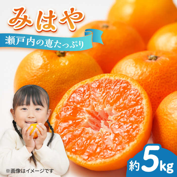 【ふるさと納税】【期間限定】厳選 みはや 5kg みかん 蜜柑 ミカン 果物 くだもの フルーツ みかん ミカン オレンジ 蜜柑 柑橘 先行予約 ジュース 果実 甘味 酸味 ギフト 広島県産 人気 送料無料 江田島市/小原農園[XCE005]