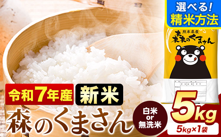 新米 令和7年産  無洗米 白米 選べる 森のくまさん 5kg    熊本県産 《12月中旬-2月末頃出荷》送料無料