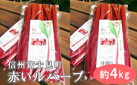 【先行予約 2027年6月上旬より発送予定】富士見町の赤いルバーブ約4kg（500g×8袋）富士見町ルバーブ生産組合
