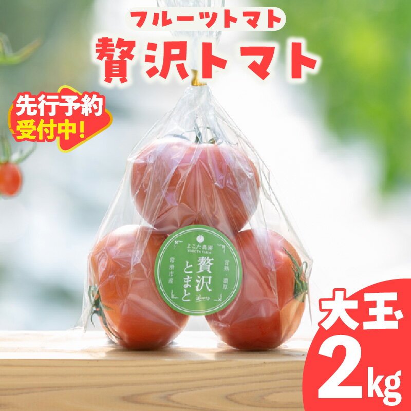 【ふるさと納税】【先行予約】フルーツトマト 贅沢トマト 大玉 【2kg】 よこた農園 野菜 トマト 新鮮野菜 太陽の恵み トマト料理 愛知県産 お取り寄せ グルメ ※2025年12月頃から順次発送 送料無料