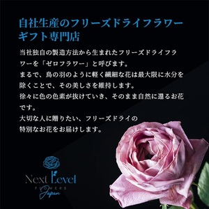 SL0270　フリーズドライフラワー アレンジ 「フラワーペタル」