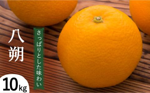 【2027年1月下旬～発送】八朔（10Kg）（L～2L込） 南島原市 / 日野江 [SCY005]