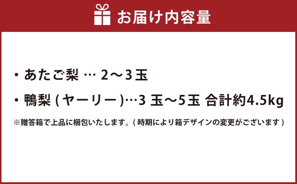 あたご梨 2～3玉 ・ 鴨梨 （ヤーリー） 3～5玉 詰合せ 合計約4.5kg 贈答箱