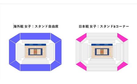 「買取大吉 バレーボールネーションズリーグ 2025 千葉大会」海外戦 女子：スタンド自由席+日本戦 女子：スタンドBコーナー＋特別体験プログラム(プラスプラン)　 7月10日