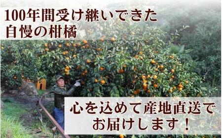 タカじいの 有田 みかん 3kg （良品 サイズおまかせ2S～2L） / 温州みかん 有田みかん 甘い 家庭用 和歌山 柑橘 ※11月順次発送【krs004-c-3-11A】