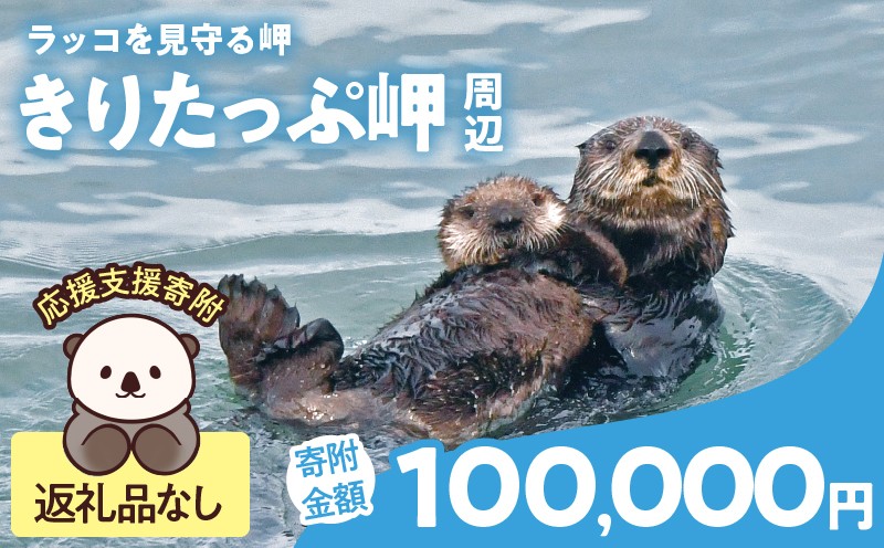 
            ラッコを見守る岬「きりたっぷ岬」周辺の環境整備　100000円分 返礼品なし_H0028-015
          