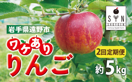 訳あり りんご 定期便 2回（約5kg） / 岩手県 遠野市 産 松陽園 11-12月 発送 10月31日受付終了