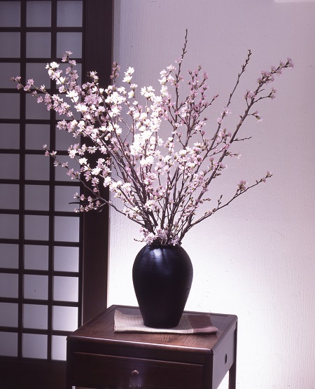 食の都庄内【令和7年産】《10・11・12月お届け-A》季節の贈り物-3ヶ月定期便 《10・11・12月お届け-A》