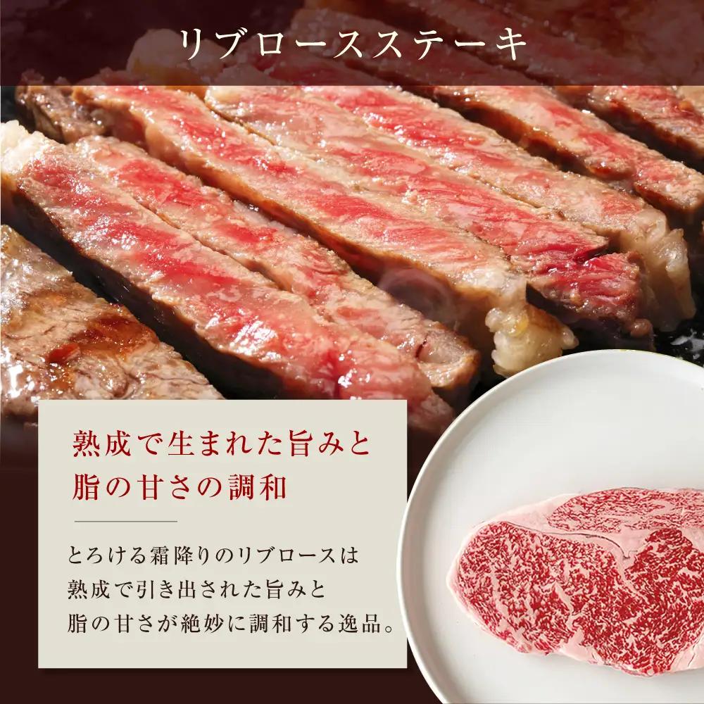 熟成肉 リブロース＆極上赤身ステーキ 800g[AOAS033] ステーキ