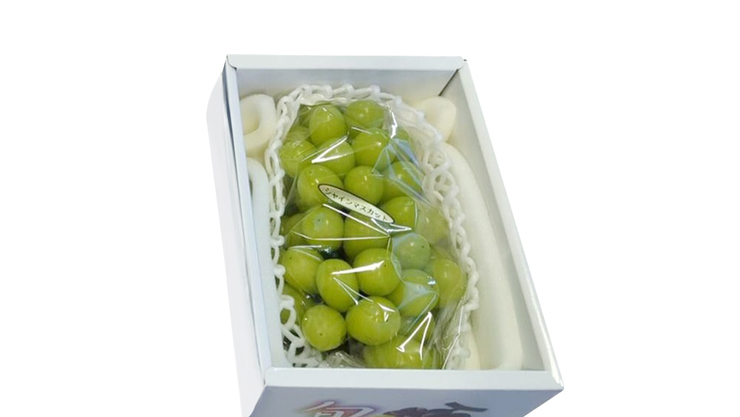 【最短3日発送】 シャインマスカット 700g ～ 800g ( 1房 ) ( 茨城県共通返礼品 石岡市 ) 数量限定 フルーツ 果物 マスカット ぶどう 葡萄 ブドウ 旬 国産 産地直送 [FB00
