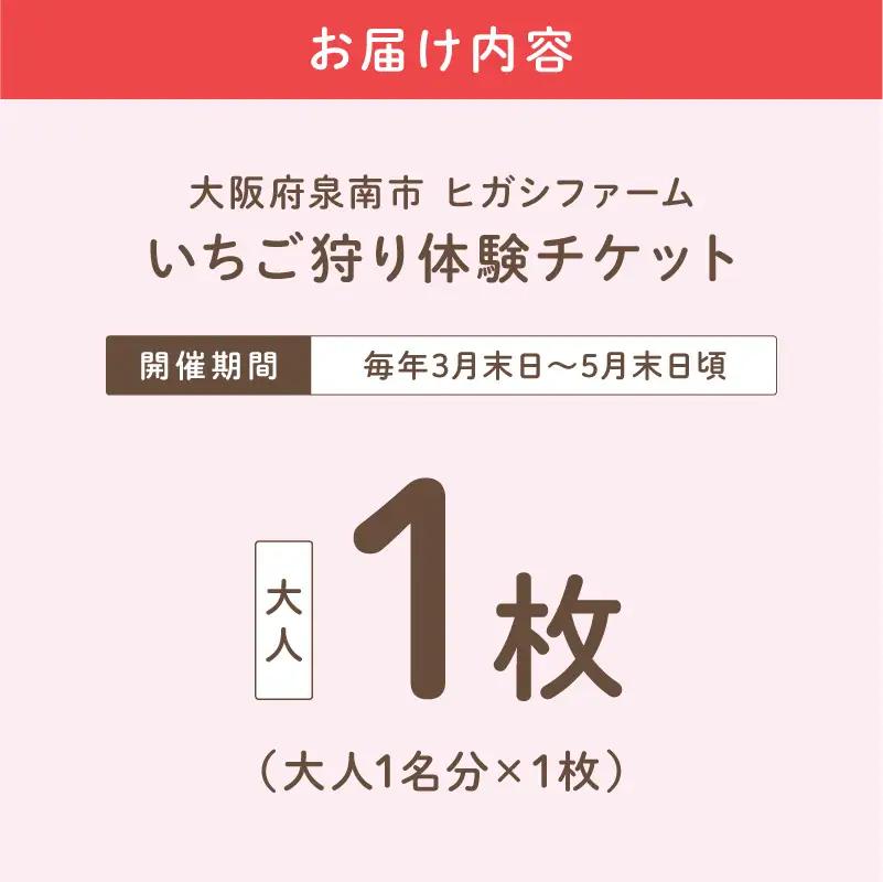 【見つけて、摘んで、食べて！】希少いちご「ほしうらら」を摘みに行こう いちご狩り 体験チケット（大人1名）【121E-001】