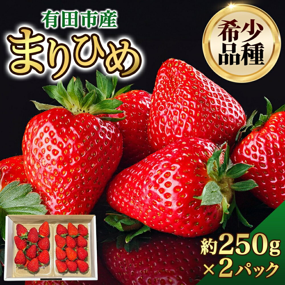 【ふるさと納税】★1月も順次発送★ いちご まりひめ 約250g×2パック 和歌山 苺 イチゴ 産地直送 濃厚 甘い フルーツ 果物 くだもの 人気 おすすめ 送料無料 国産 和歌山県有田市 (A1084-1)