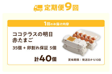 【9ヵ月定期便】ココテラスの明日（赤たまご）35個 + 5個保証（計40個）【JGAP認証】 農家直送 新鮮 卵 タマゴ 赤卵 玉子 鶏卵 朝食 夕食 夜食 朝ごはん たまご焼き オムレツ 卵ご飯 料