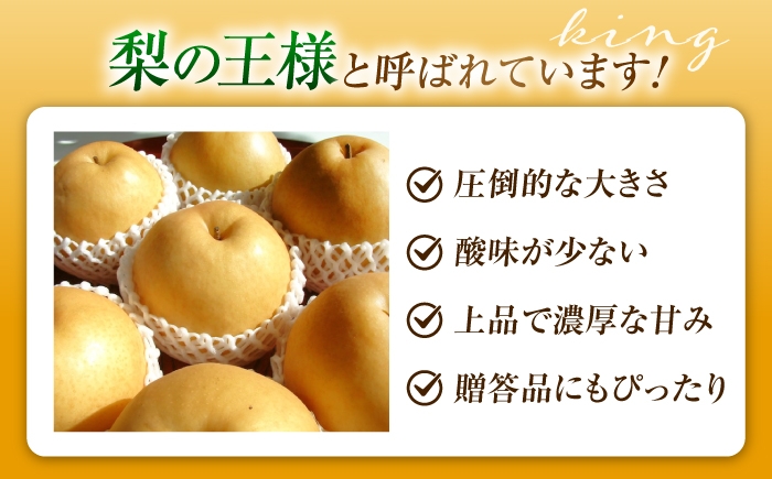 フルーツ 果物 くだもの 食品 人気 おすすめ 梨 なし 新高梨 にいたかなし 和梨 甘い 高糖度 ナシ 大玉 黄金色
