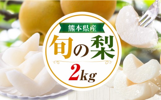 先行予約 旬の梨 梨 約2kg 株式会社エフビーネット《8月上旬-10月下旬頃出荷》熊本県 氷川町 果物 フルーツ 熊本県産 青果物 和梨 ジューシー