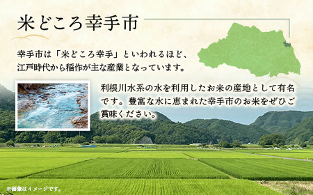 【先行受付】 令和7年産 つきあかり（無洗米）幸手産 - 5kg×1袋 ５kg 先行 予約 新米 新米予約 先行予約 2025年発送 福祉 応援 安心 安全 埼玉県 幸手市 幸手市産