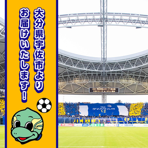 大分トリニータ 選手とピッチレベルでハイタッチ！松本怜CROプロデュース(1試合) Jリーグ サッカー trinita 体験 チケット【116300200】【大分フットボールクラブ】