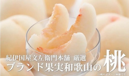 和歌山の桃 [秀品 約3.8～4kg](サイズ・品種おまかせ) ｜ 桃