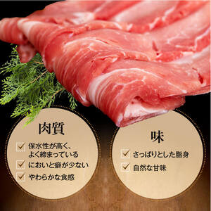 【C05043】鹿児島県産 豚ロース 豚バラスライスセット(合計約3kg・各約300g×10パック) ドレッシング付き 鹿児島 国産 九州産 黒豚 豚肉 お肉 ロース 豚バラ スライス しゃぶしゃぶ 