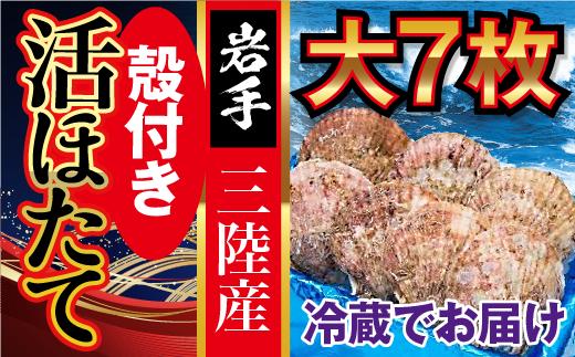 
            【朝獲れ！三陸活ホタテ】大7枚セット 生食用 殻付き｜新鮮 大粒 活 ほたて ホタテ大粒 厳選 三陸産 海鮮 肉厚 甘い 帆立 刺身 冷蔵 人気 魚介 魚介類 貝 貝類 岩手県大槌町
          
