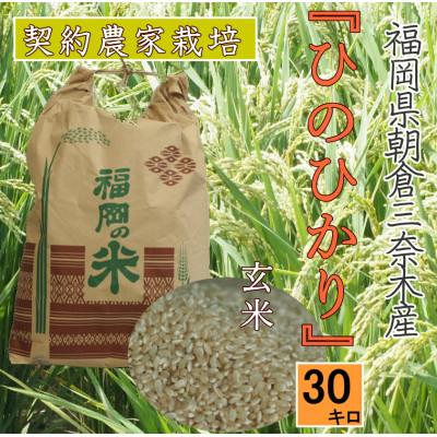 ふるさと納税 朝倉市 朝倉市三奈木産　令和7年産　『ひのひかり』玄米30キロ(1袋)