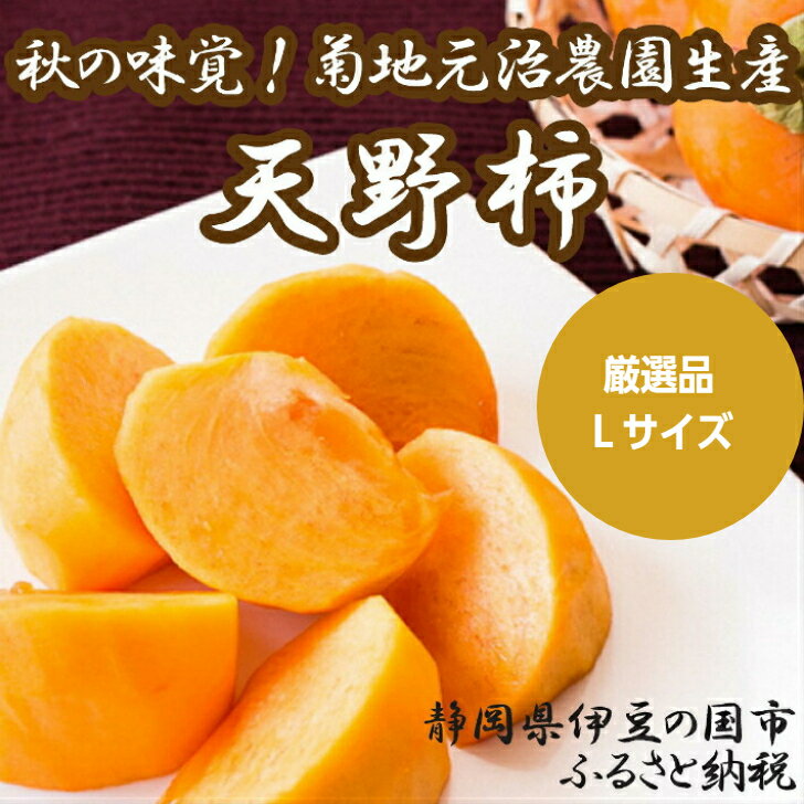 【ふるさと納税】厳選品 菊地元治農園の天野柿 Lサイズ 14個 ／ 果物 くだもの かき カキ 贈答 ギフト プレゼント 先行予約 期間限定 伊豆 伊豆の国 静岡 静岡県