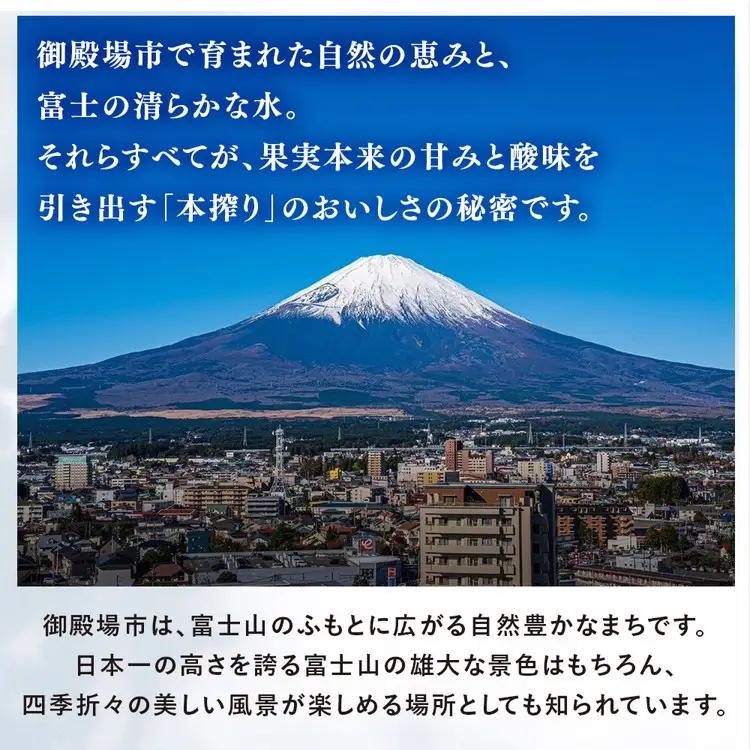 キリン チューハイ 本搾り グレープフルーツ 500ml（24本） ◇