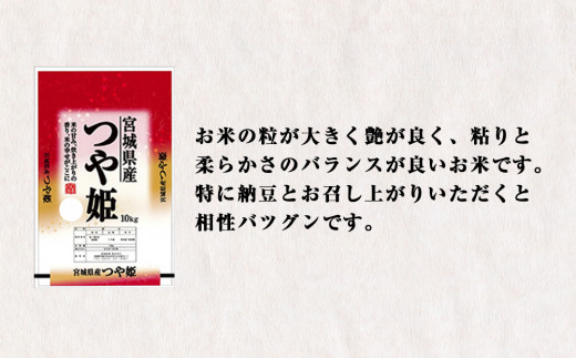 令和6年産 宮城県産 つや姫 精米 10kg 石巻産 つや姫 精米 つ