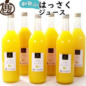 無添加はっさくジュース720ml×6本【100%ストレートジュース】【柑橘・果汁】【配送不可地域：離島・北海道・沖縄県】【1641249】
