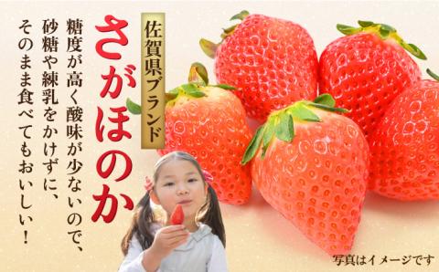 【みずみずしい果肉】さがほのかレギュラーパック4P 約1kg 吉野ヶ里町/リエンサーク [FCC001]
