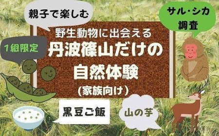 【家族で楽しむ】野生動物に出会える　丹波篠山だけの自然体験 CW026