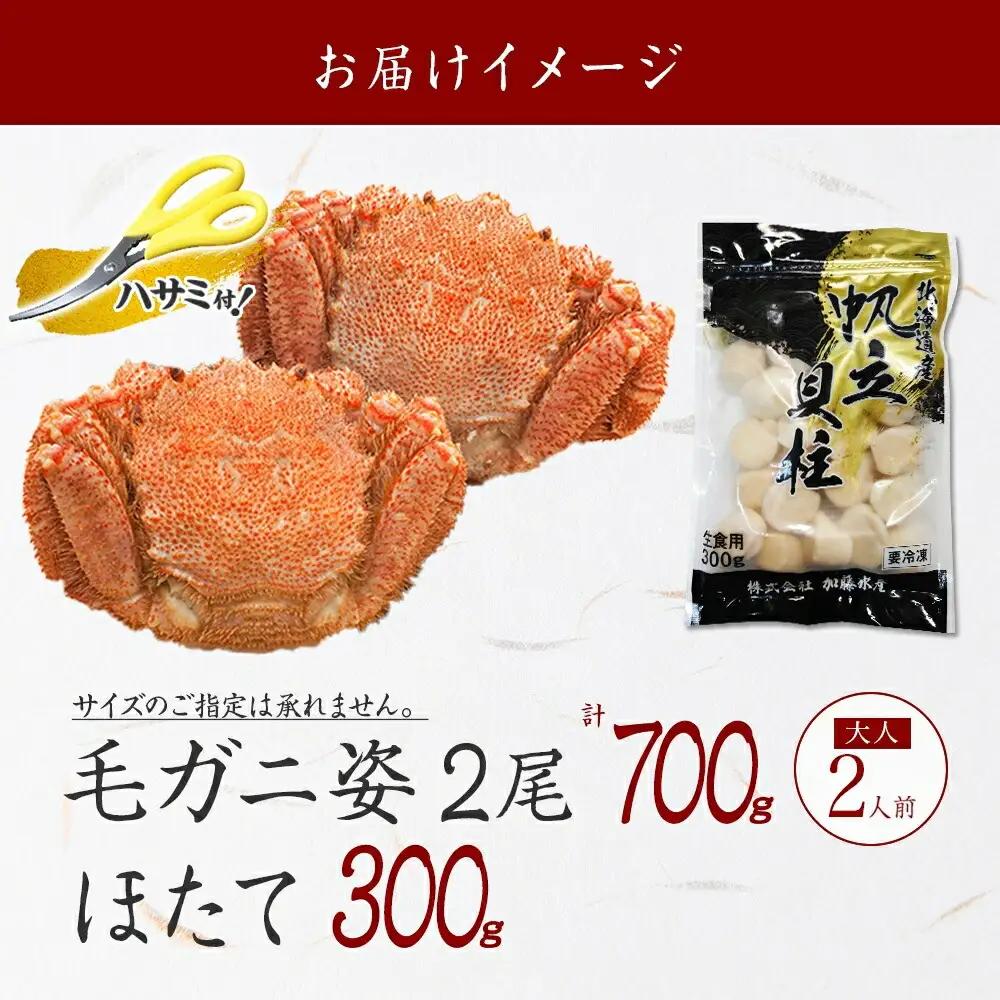 毛蟹 2尾 計700g前後 ホタテ 300g 専用ハサミ・食べ方ガイド付き 毛ガニ 毛がに 蟹 カニ カニ味噌 ほたて 帆立 貝柱 海鮮 ボイル 北海道 弟子屈町 3419