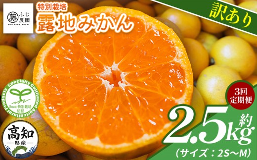 【3回定期便】ふじ農園の露地みかん 訳あり品 2.5kg(2S～M) 国産 小玉 蜜柑 ミカン 柑橘 果物 フルーツ 訳アリ ご家庭用 自宅用 ふじ農園 高知県 香南市 Wfn-0020