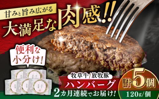【全2回定期便】　【牧草牛×放牧豚】ハンバーグ 5個 《厚真町》【GOODGOOD株式会社】 ハンバーグ 牛肉 豚肉 ジビエ 小分け 冷凍配送 北海道 [AXBP026]