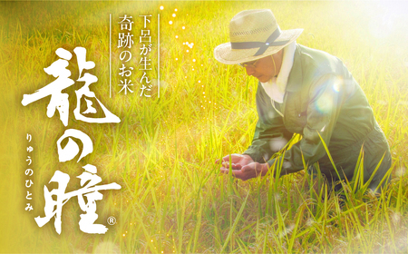 【2025年産米】（2026年5月発送開始）【定期便】5kg×3回 飛騨産・龍の瞳（いのちの壱）【14-74】