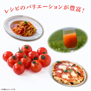 ミニトマト 朝採れ あまっこ 約3kg 【ミニトマト】 トマト 
