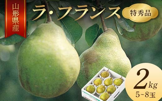 《2026年産 先行予約》山形県産 ラ・フランス 2kg 5～8玉 特秀品 FSY-2134