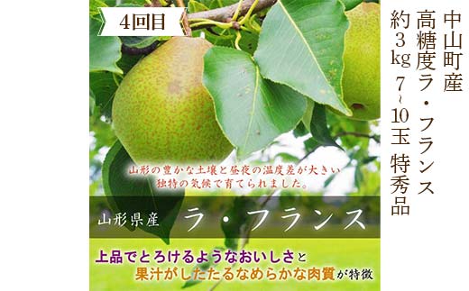 2026年6月発送開始 先行受付 山形県 至高のフルーツ！ 山形県中山町厳選フルーツ定期便 全4回 さくらんぼ 桃 シャインマスカット ラ・フランス 山形県 中山町 F4A-0477