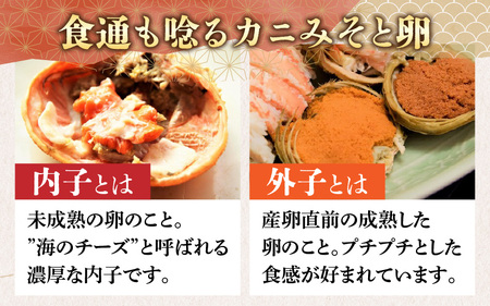 【先行予約】【数量・期間限定】福井県産 越前コッペガニ（セイコガニ）×4杯【急速冷凍】（プロトン凍結）【11月下旬より発送】