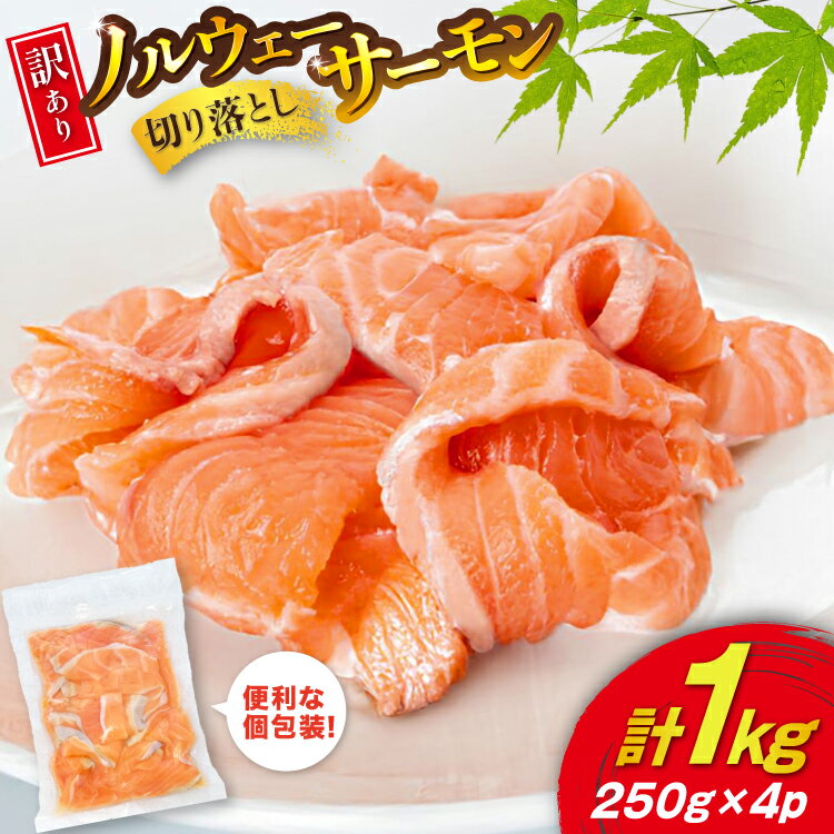 【ふるさと納税】 訳あり 無添加 ノルウェー産 アトランティックサーモン 切り落とし おさしみ用 1kg 250gx4p [足利本店 宮城県 気仙沼市 20565567] サーモン さけ サケ 魚介類 鮭 尾っぽ はしっこ お刺し身 刺し身 刺身 個包装 海鮮 魚 小分け 冷凍 真空包装 ノルウェー