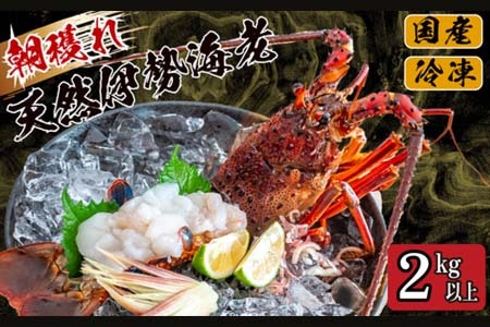 【 伊勢海老 】 天然伊勢海老 2kg以上