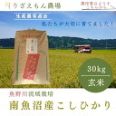 【ふるさと納税】《新米》玄米30kg　令和6年産　南魚沼産　コシヒカリ　こしひかり　魚野川流域　匠 雲蝶(たくみ　うんちょう）＼生産農家直送／ | お米 こめ 食品 コシヒカリ こしひかり 人気 おすすめ 送料無料 魚沼 南魚沼 南魚沼市 新潟県 玄米 産直