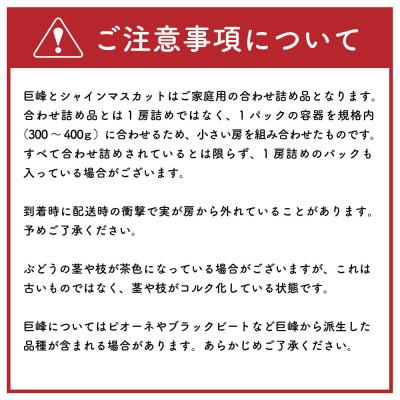 ふるさと納税 時津町 【発送月固定定期便】時津の果物定期便 みかん ぶどう シャインマスカットなど全4回 |  | 03