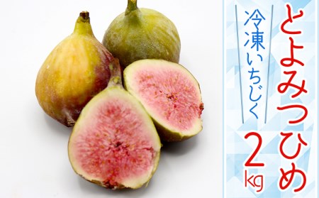 【福岡県産】冷凍とよみつひめ（イチジク）　2ｋｇ（1ｋｇ×2） 2J8