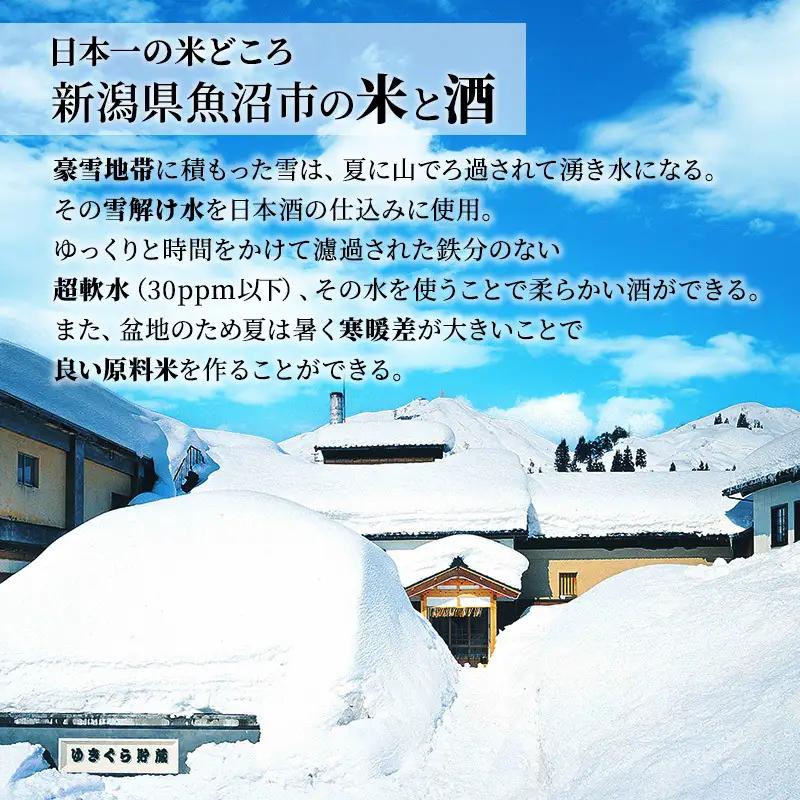 【最高金賞受賞・ふるさと納税限定版】日本酒 吟醸 玉風味 2本 セット |日本酒
