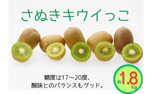 ＜先行受付　2025年発送＞さぬきキウイっこ　キウイフルーツ　約1.8kg